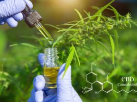 cbd flora