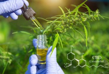 cbd flora