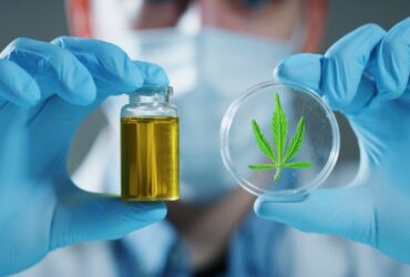 cbd une drogue ?